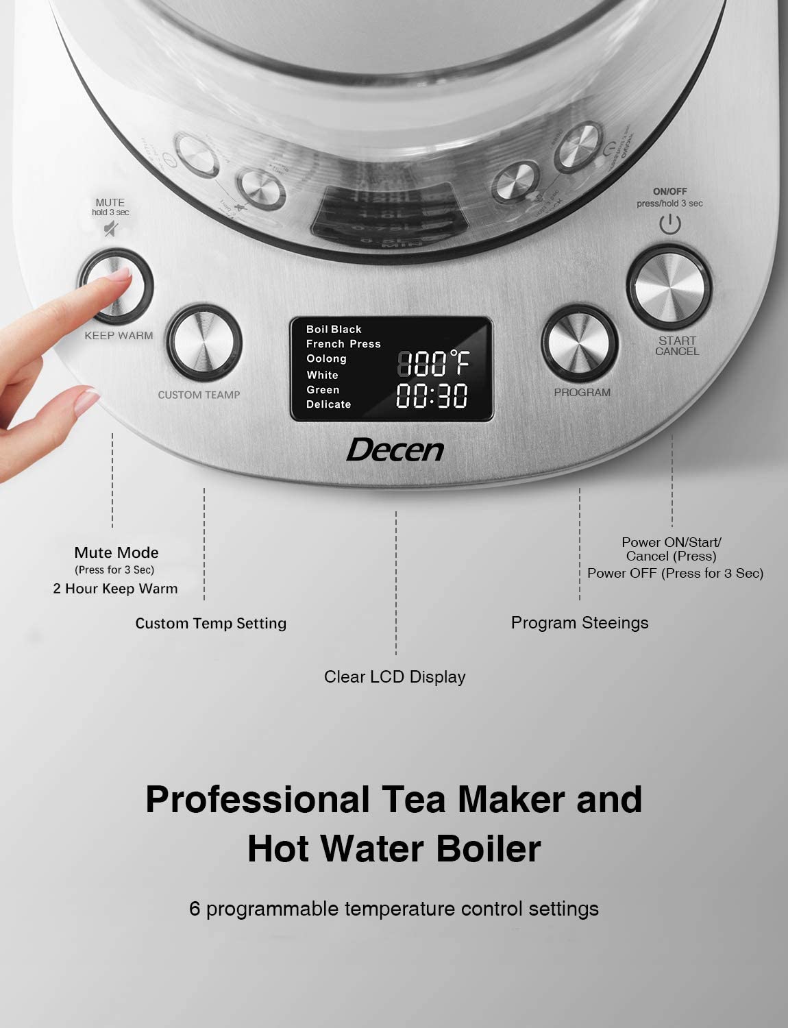 Decen Electric Tea Kettle 1.7L with Removable Tea Infuser