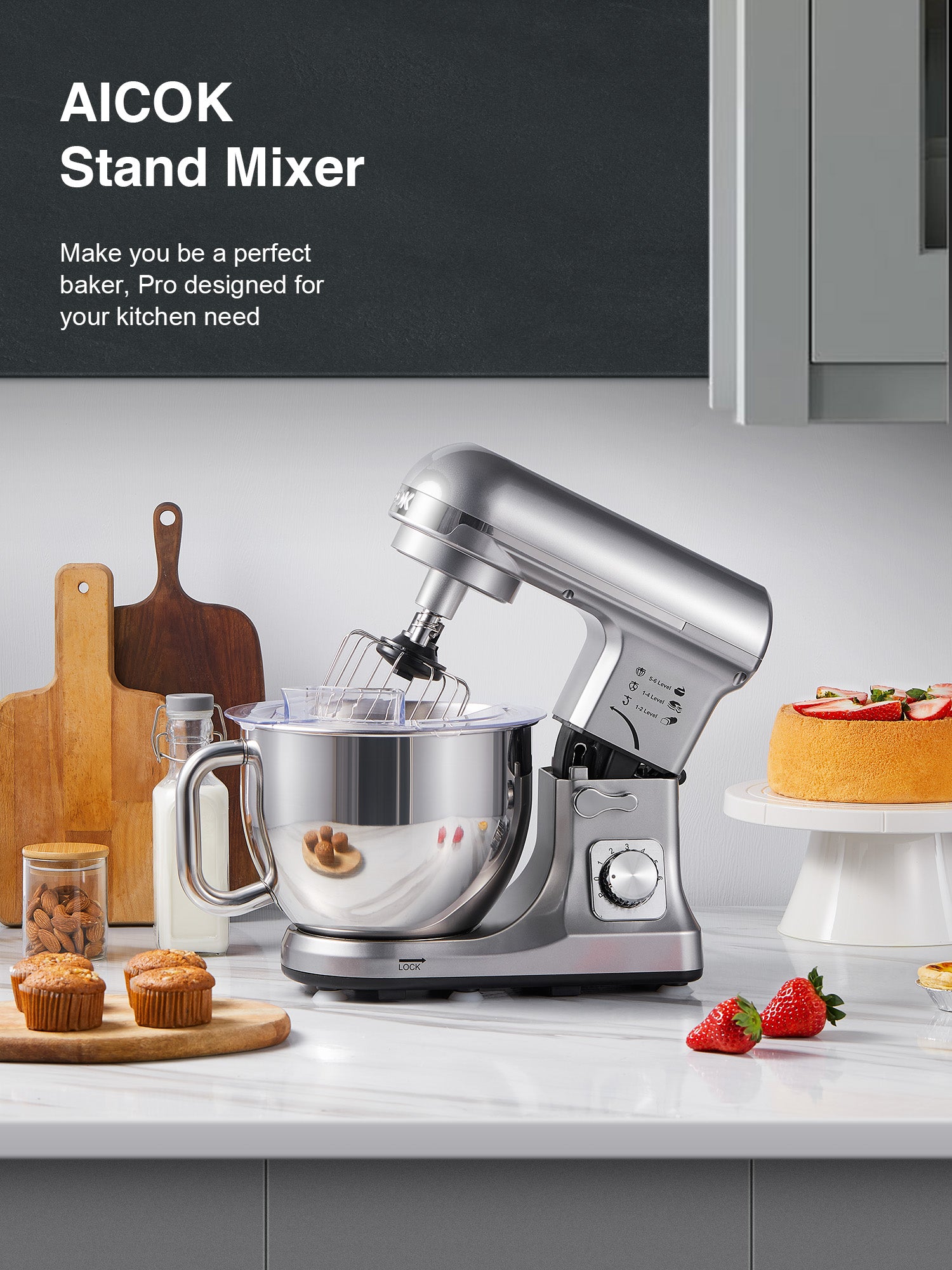 5.5QT Stand Mixer with Double Dough Hook, 6-speed Stainless Steel