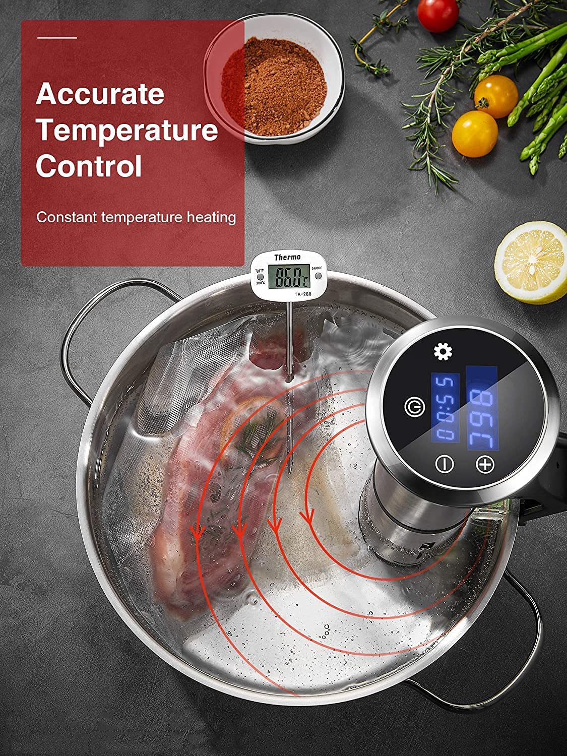 DEIK Sous Vide, 1200W Slow Cooker, Roner IPX7 Water Resistance, Bain Marie  Cooking Machine with LED Touch Screen, Temperature Control and Scheduled
